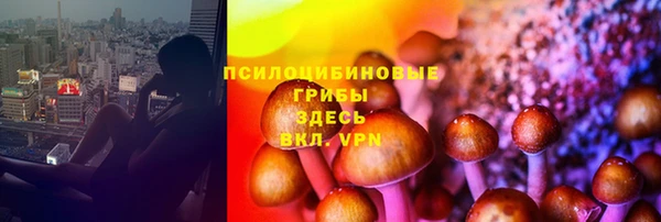 эйфоретик Сафоново