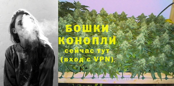эйфоретик Сафоново