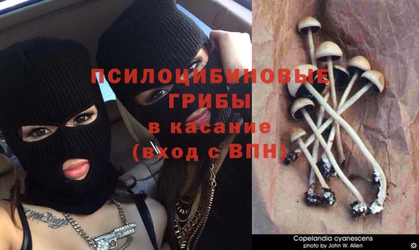 марихуана Саяногорск