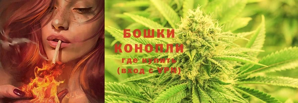 эйфоретик Сафоново