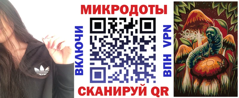 Псилоцибиновые грибы Cubensis  Сольвычегодск 